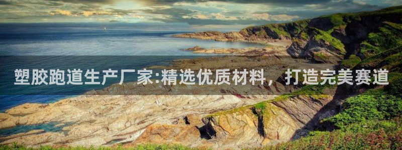 红足1世足球比分网址：塑胶跑道生产厂家:精选优质材料，打造完美赛道