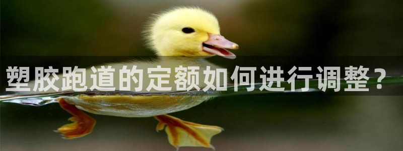 红足一1世666814最新结果：塑胶跑道的定额如何进行调整？