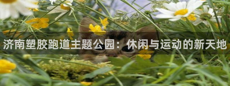 新2足球平台出租网站:济南塑胶跑道主题公园:休闲与运动的新天地