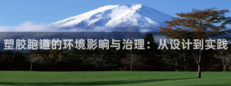 333814红足1世：塑胶跑道的环境影响与治理：从设计到实践