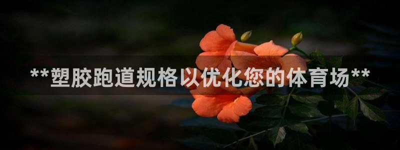 666814红·足一世比分:**塑胶跑道规格以优化您的体育场**