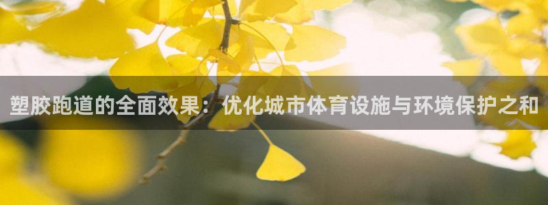 红足体育网:塑胶跑道的全面效果:优化城市体育设施与环境保护之和