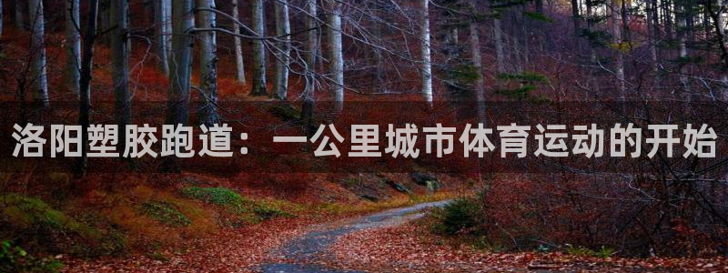 新2足球平台出租网站：洛阳塑胶跑道：一公里城市体育运动的开始