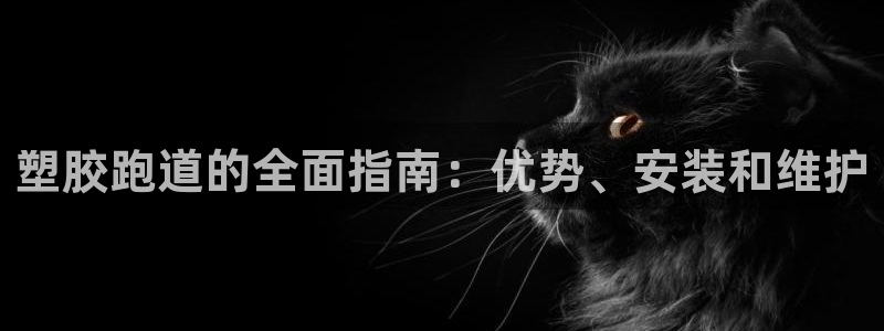 红足一1世比分网:塑胶跑道的全面指南:优势、安装和维护