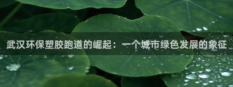 红足一：武汉环保塑胶跑道的崛起：一个城市绿色发展的象征