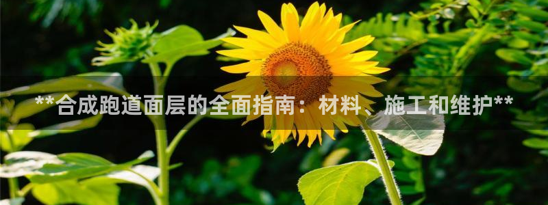 红足一1世：**合成跑道面层的全面指南：材料、施工和维护**