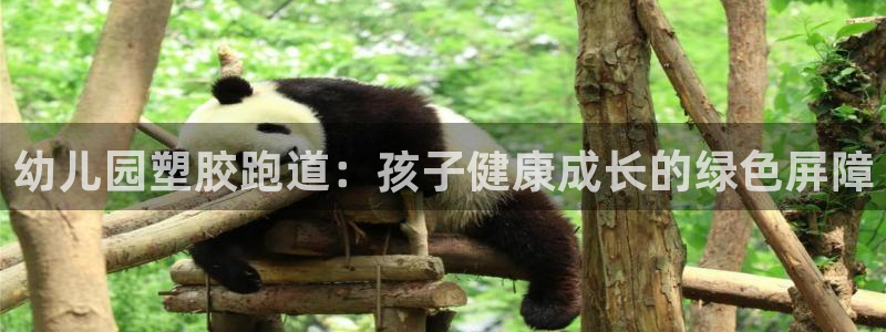 红姐现场直播开奖记录：幼儿园塑胶跑道：孩子健康成长的绿色屏障