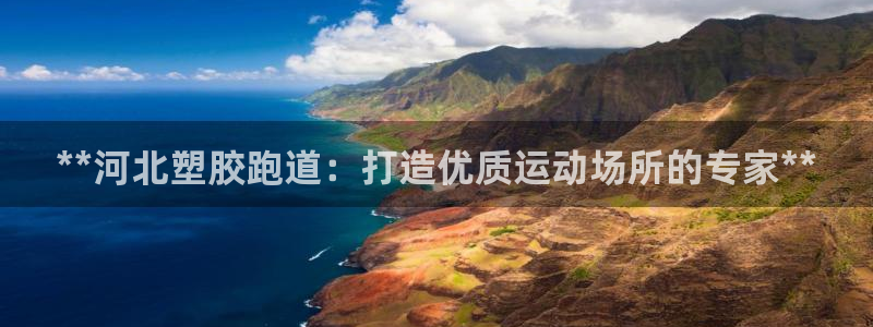 红足一1世官网足球推荐真人：**河北塑胶跑道：打造优质运动场所的专家**