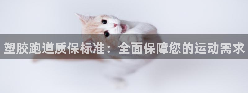 百度红足一1是什么样子的：塑胶跑道质保标准：全面保障您的运动需求