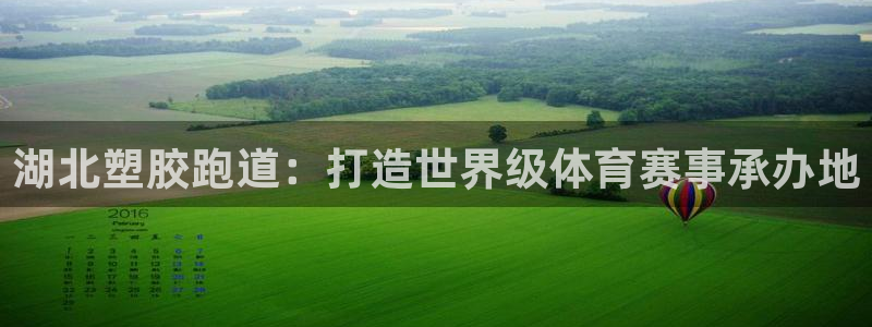 百度红足一1是为什么：湖北塑胶跑道：打造世界级体育赛事承办地