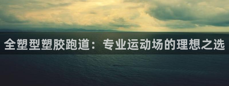 红足1世手机板：全塑型塑胶跑道：专业运动场的理想之选