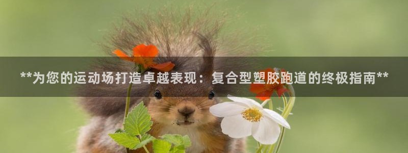 红足1世足球：**为您的运动场打造卓越表现：复合型塑胶跑道的终极指南**