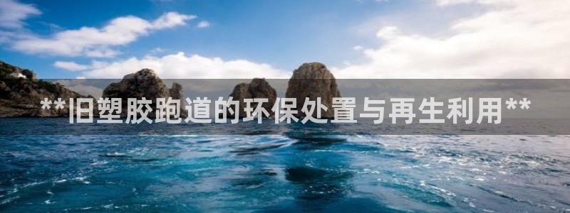 333814红足1世：**旧塑胶跑道的环保处置与再生利用**