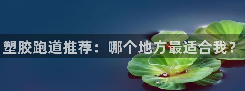 红足1世足球：塑胶跑道推荐：哪个地方最适合我？