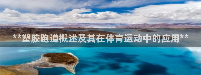 333814红足1世:**塑胶跑道概述及其在体育运动中的应用**