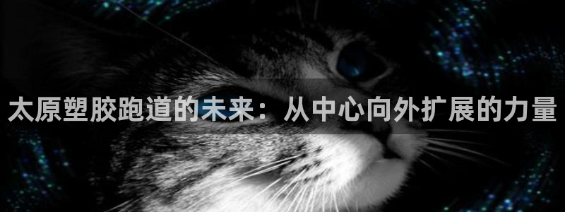 红足1世官网：太原塑胶跑道的未来：从中心向外扩展的力量