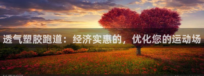 红姐现场直播开奖记录：透气塑胶跑道：经济实惠的，优化您的运动场