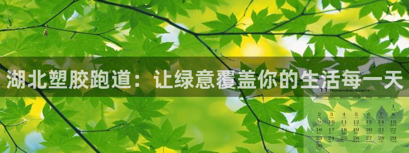红足一1世666814足球比分网：湖北塑胶跑道：让绿意覆盖你的生活每一天