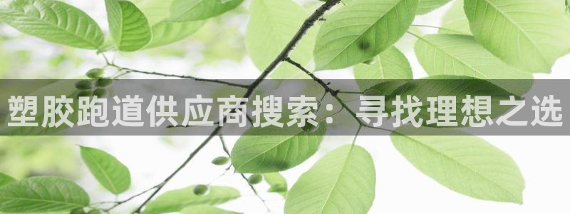 红足1一世：塑胶跑道供应商搜索：寻找理想之选
