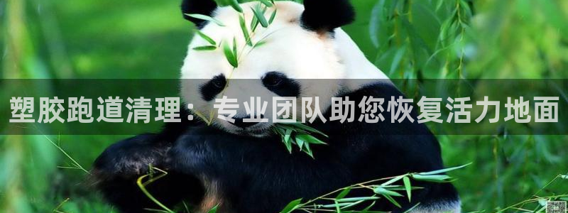 红足一球：塑胶跑道清理：专业团队助您恢复活力地面