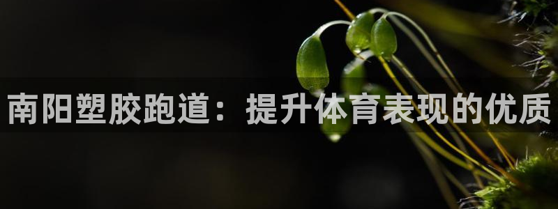 红足一比分网:南阳塑胶跑道:提升体育表现的优质