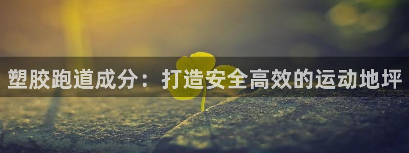 红足1世足球网址大全：塑胶跑道成分：打造安全高效的运动地坪