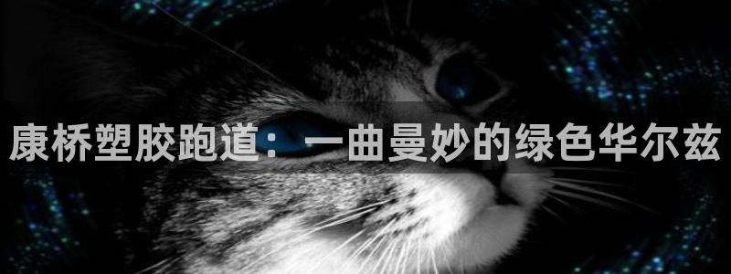 红足1世足球比分 localhost:康桥塑胶跑道:一曲曼妙的绿色华尔兹